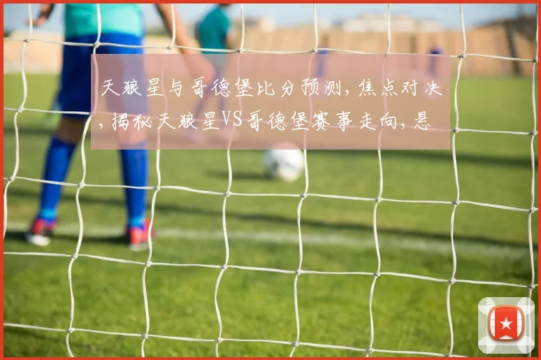 天狼星与哥德堡比分预测,焦点对决,揭秘天狼星VS哥德堡赛事走向,悬念重重
