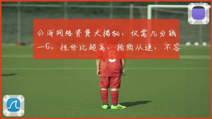 公海网络资费大揭秘，仅需几分钱一G，性价比超高，抢购从速，不容错过