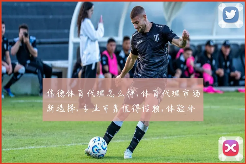 伟德体育代理怎么样,体育代理市场新选择,专业可靠值得信赖,体验非凡