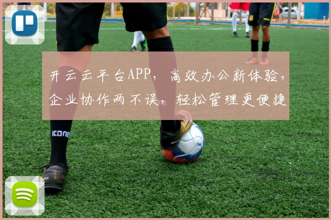 开云云平台APP，高效办公新体验，企业协作两不误，轻松管理更便捷
