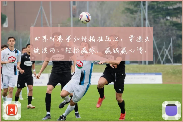 世界杯赛事如何精准压注，掌握关键技巧，轻松赢球，赢钱赢心情，攻略必备