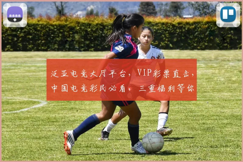 泛亚电竞大厅平台，VIP彩票直击，中国电竞彩民必看，三重福利等你来