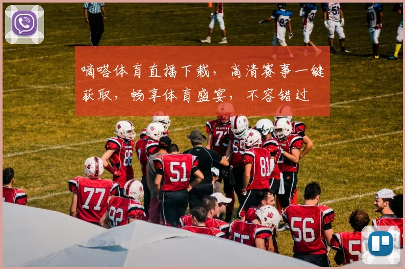 嘀嗒体育直播下载，高清赛事一键获取，畅享体育盛宴，不容错过