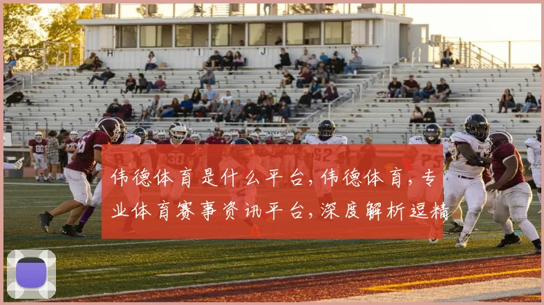 伟德体育是什么平台,伟德体育,专业体育赛事资讯平台,深度解析逗精彩瞬间